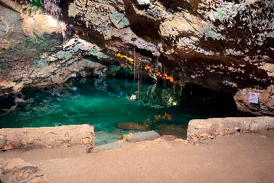 Cenote San Antonio en Homún